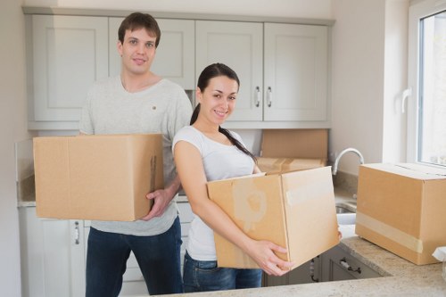 Professional man with a van handling boxes and household items